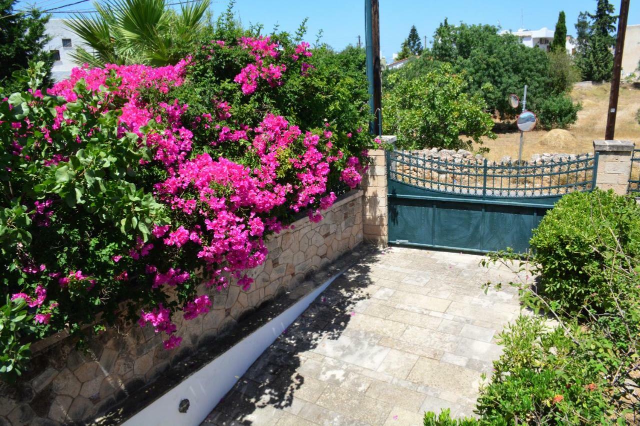 Villa Artemis Aegina Dış mekan fotoğraf